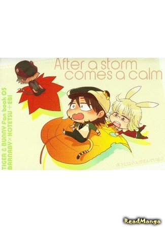 манга После бури наступает затишье (Tiger &amp; Bunny dj - After a storm comes a calm) 02.04.14