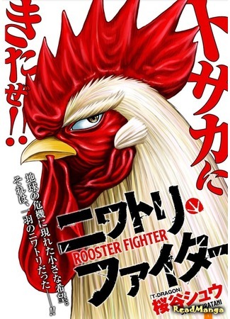 манга Боевой петух (Rooster Fighter: Niwatori Faita) 02.01.21