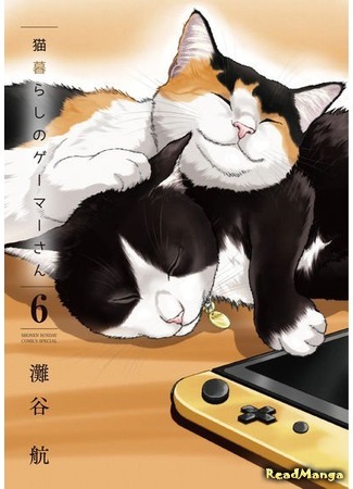 манга Будни геймерши и кошки (A Gamer Living With a Cat: Neko Gurashi Gamer-san) 18.04.21