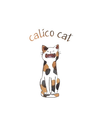 Переводчик Calico Cat 24.07.22